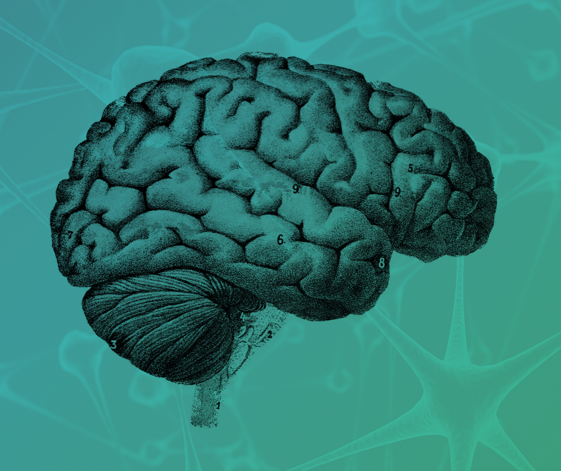 struthersCDGimage Biola University Center for Christian Thought / The